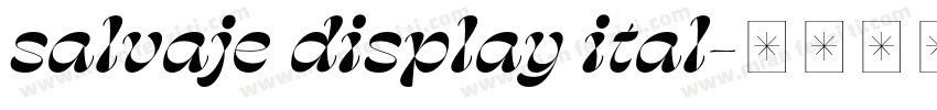 salvaje display ital字体转换